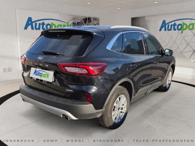 Ford Kuga Gebrauchtwagen