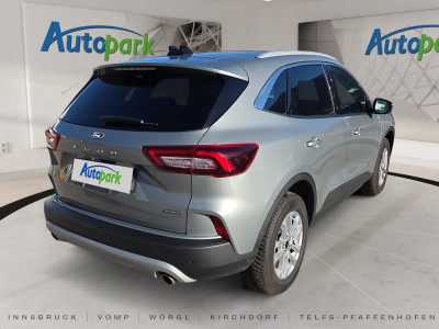 Ford Kuga Gebrauchtwagen