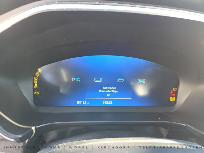 Ford Kuga Gebrauchtwagen