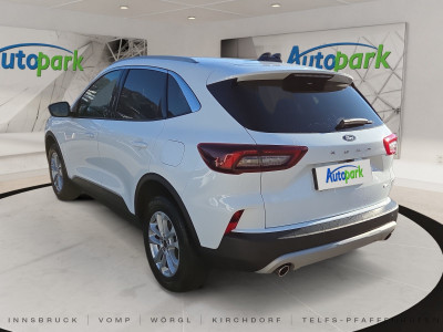 Ford Kuga Gebrauchtwagen