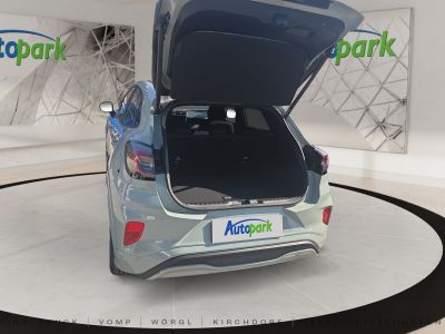 Ford Puma Neuwagen Ford Puma Neuwagen