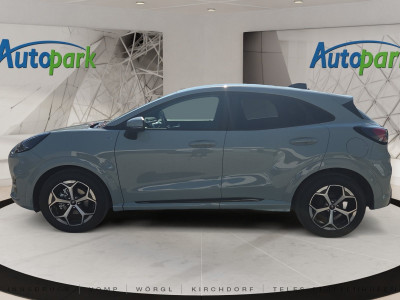 Ford Puma Neuwagen