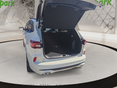 Ford Kuga Neuwagen