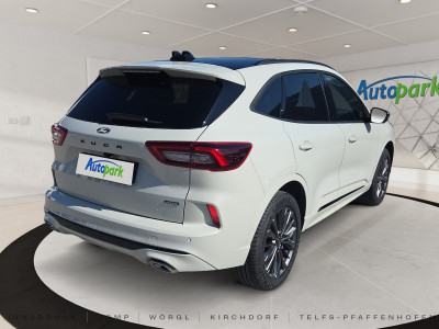 Ford Kuga Neuwagen