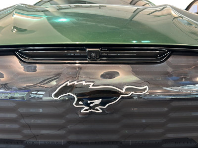 Ford Mustang Mach-E Vorführwagen