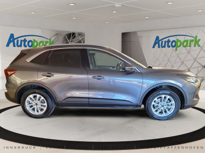 Ford Kuga Gebrauchtwagen Ford Kuga Gebrauchtwagen