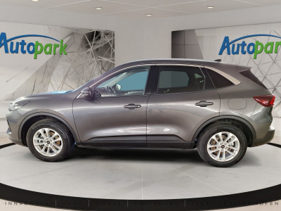 Ford Kuga Gebrauchtwagen Ford Kuga Gebrauchtwagen