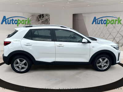 KIA Stonic Gebrauchtwagen KIA Stonic Gebrauchtwagen