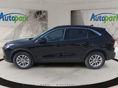 Ford Kuga Neuwagen Ford Kuga Neuwagen