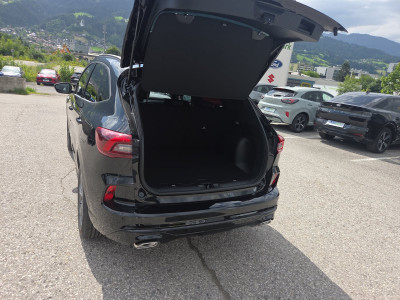 Ford Kuga Neuwagen Ford Kuga Neuwagen