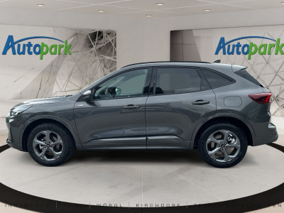 Ford Kuga Neuwagen