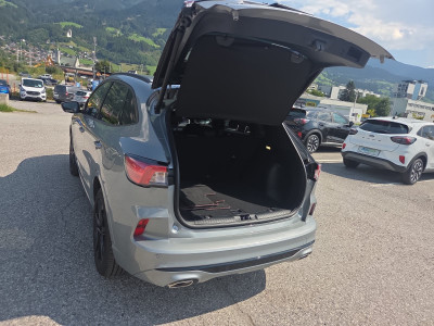 Ford Kuga Gebrauchtwagen Ford Kuga Gebrauchtwagen