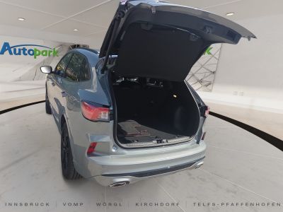 Ford Kuga Gebrauchtwagen Ford Kuga Gebrauchtwagen