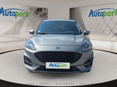 Ford Kuga Gebrauchtwagen Ford Kuga Gebrauchtwagen