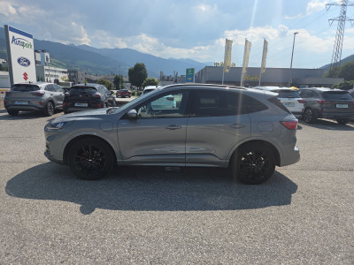 Ford Kuga Gebrauchtwagen Ford Kuga Gebrauchtwagen