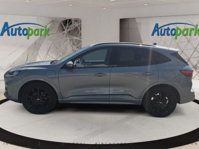 Ford Kuga Gebrauchtwagen Ford Kuga Gebrauchtwagen