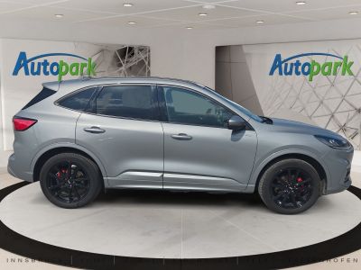 Ford Kuga Gebrauchtwagen Ford Kuga Gebrauchtwagen