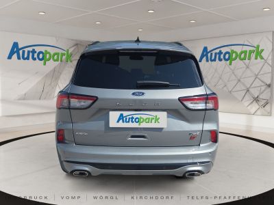 Ford Kuga Gebrauchtwagen Ford Kuga Gebrauchtwagen