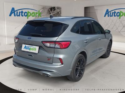 Ford Kuga Gebrauchtwagen Ford Kuga Gebrauchtwagen