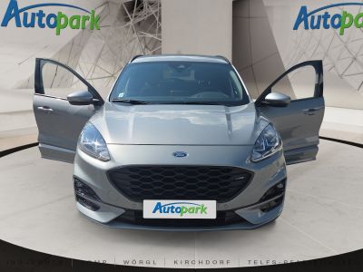 Ford Kuga Gebrauchtwagen Ford Kuga Gebrauchtwagen