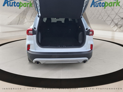 Ford Kuga Gebrauchtwagen Ford Kuga Gebrauchtwagen