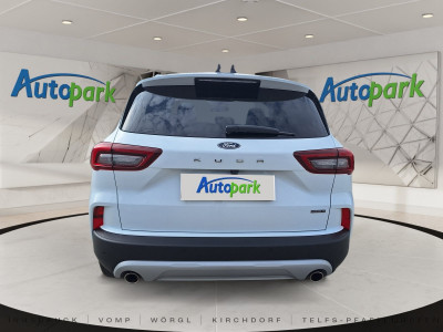 Ford Kuga Gebrauchtwagen Ford Kuga Gebrauchtwagen