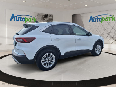 Ford Kuga Gebrauchtwagen Ford Kuga Gebrauchtwagen