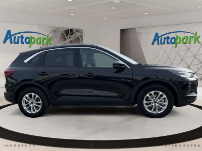 Ford Kuga Gebrauchtwagen Ford Kuga Gebrauchtwagen