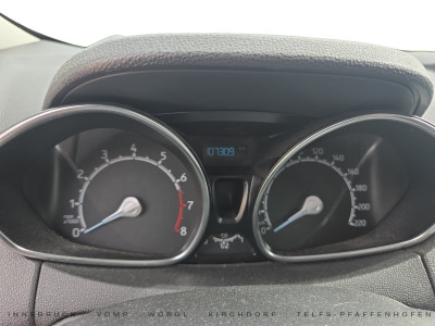 Ford EcoSport Gebrauchtwagen Ford EcoSport Gebrauchtwagen