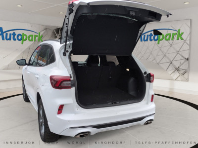 Ford Kuga Gebrauchtwagen Ford Kuga Gebrauchtwagen