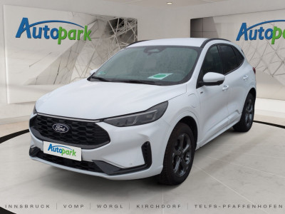 Ford Kuga Gebrauchtwagen Ford Kuga Gebrauchtwagen