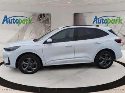Ford Kuga Gebrauchtwagen Ford Kuga Gebrauchtwagen
