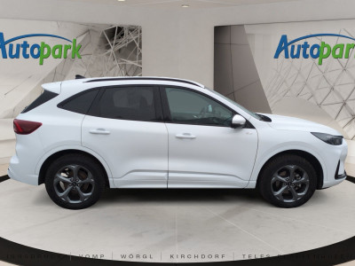 Ford Kuga Gebrauchtwagen Ford Kuga Gebrauchtwagen