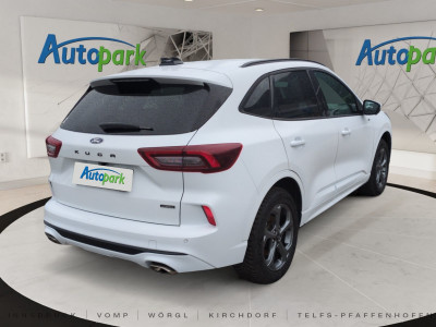 Ford Kuga Gebrauchtwagen Ford Kuga Gebrauchtwagen
