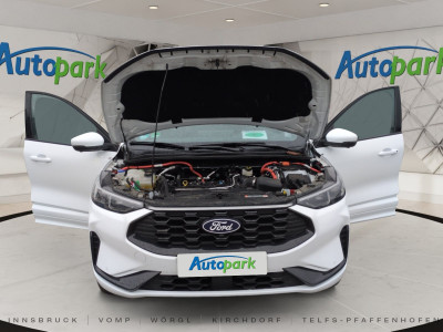 Ford Kuga Gebrauchtwagen Ford Kuga Gebrauchtwagen