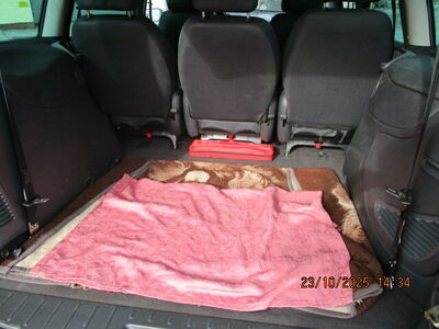 Seat Alhambra Gebrauchtwagen