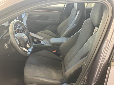 Cupra Terramar Vorführwagen