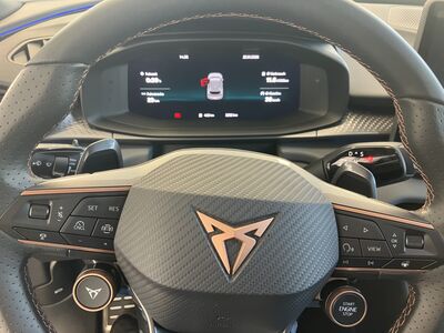 Cupra Terramar Vorführwagen