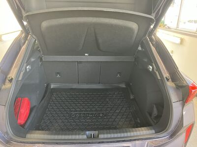 Cupra Terramar Vorführwagen