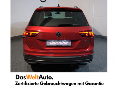 VW Tiguan Gebrauchtwagen