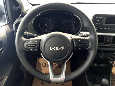 KIA Picanto Tageszulassung