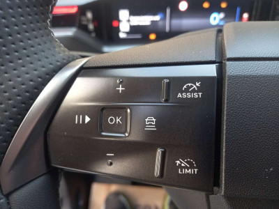 Opel Grandland Tageszulassung