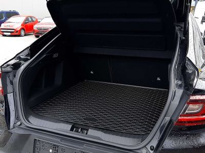 Renault Arkana Gebrauchtwagen