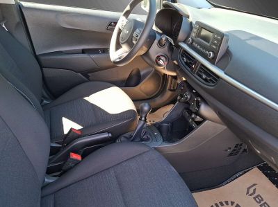 KIA Picanto Gebrauchtwagen KIA Picanto Gebrauchtwagen