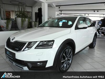 Skoda Octavia Gebrauchtwagen