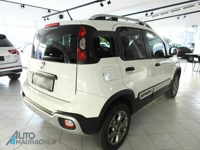 Fiat Panda Gebrauchtwagen