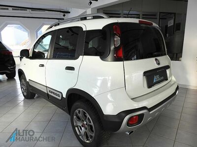 Fiat Panda Gebrauchtwagen