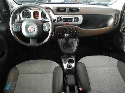 Fiat Panda Gebrauchtwagen