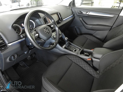 Skoda Karoq Gebrauchtwagen