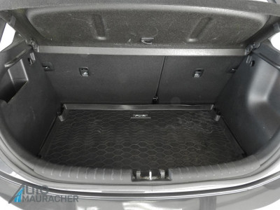 KIA Rio Gebrauchtwagen KIA Rio Gebrauchtwagen
